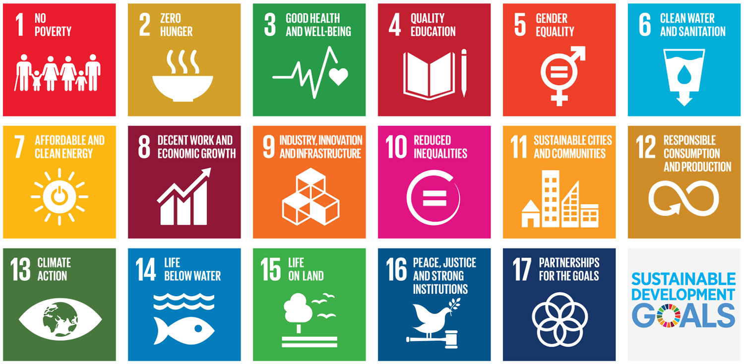 17 Sustainable Development Goals from the UN.